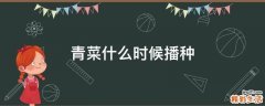 青菜什么时候播种