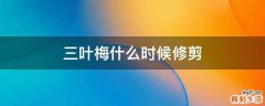 三叶梅什么时候修剪