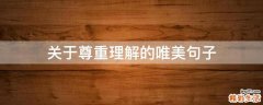 关于尊重理解的唯美句子