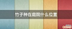 竹子种在庭院什么位置