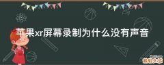 苹果xr屏幕录制为什么没有声音