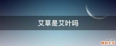 艾草是艾叶吗