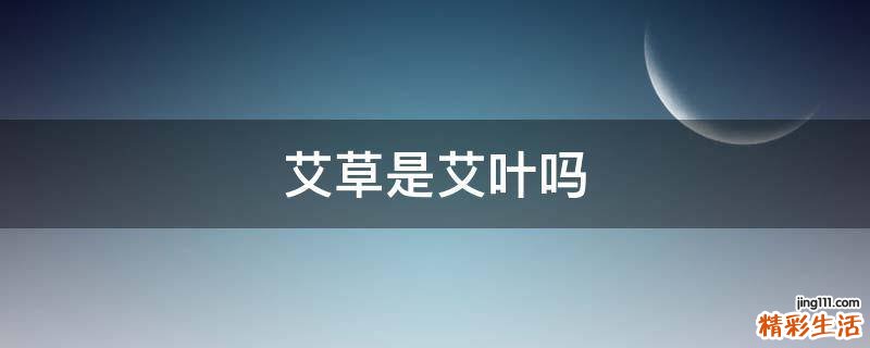 艾草是艾叶吗