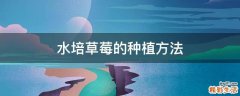 水培草莓的种植方法