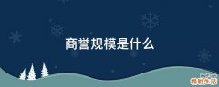 商誉规模是什么