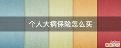 个人大病保险怎么买