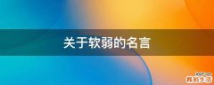 关于软弱的名言