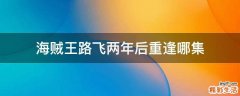 海贼王路飞两年后重逢哪集
