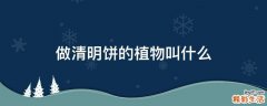 做清明饼的植物叫什么