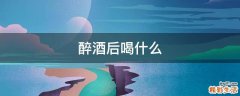 醉酒后喝什么