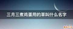 三月三煮鸡蛋用的草叫什么名字