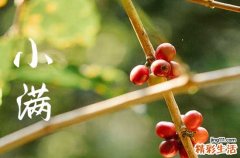 2023节气小满的经典文案100句