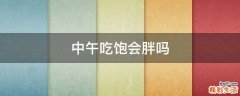 中午吃饱会胖吗