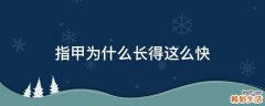 指甲为什么长得这么快