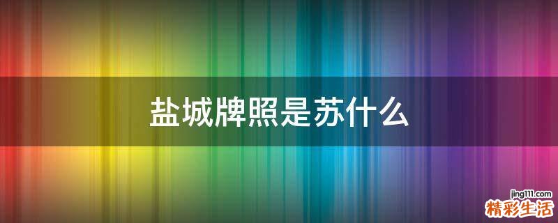 盐城牌照是苏什么