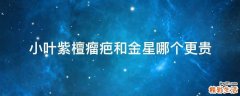 小叶紫檀瘤疤和金星哪个更贵