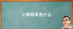小棘姆草是什么