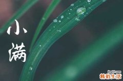 115句 2023年小满的唯美句子