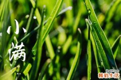 120句 小满节气文案短句