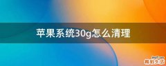 苹果系统30g怎么清理