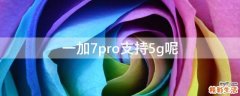 一加7pro支持5g呢