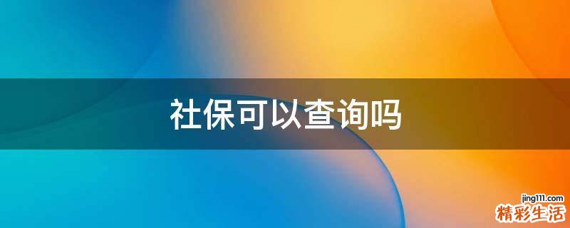 社保可以查询吗