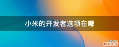 小米的开发者选项在哪