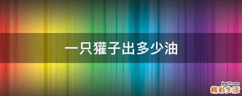 一只獾子出多少油