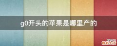 g0开头的苹果是哪里产的