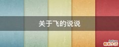 关于飞的说说