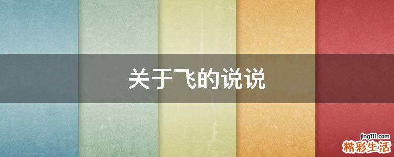 关于飞的说说