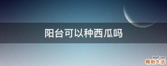 阳台可以种西瓜吗
