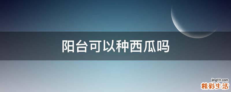 阳台可以种西瓜吗