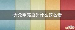 大众甲壳虫为什么这么贵