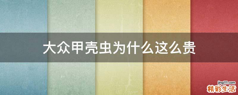 大众甲壳虫为什么这么贵