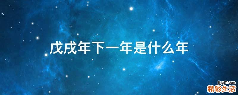 戊戌年下一年是什么年
