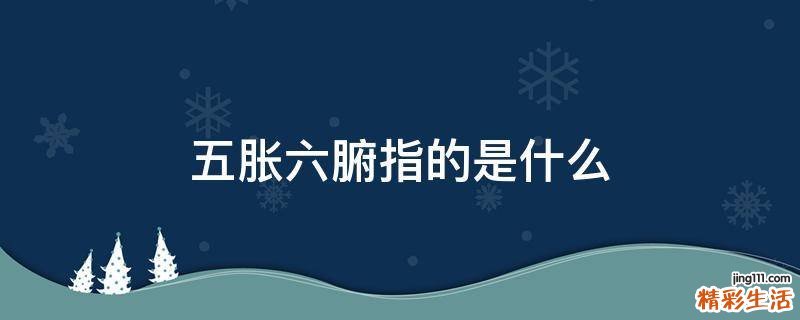 五胀六腑指的是什么