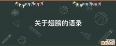 关于翅膀的语录