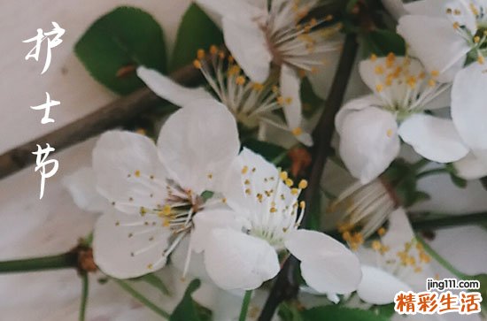 护士节朋友圈最火的文案90句简短