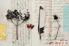 2 有车族车内宜放的零食