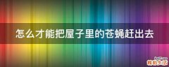 怎么才能把屋子里的苍蝇赶出去