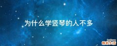 为什么学竖琴的人不多