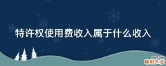 特许权使用费收入属于什么收入