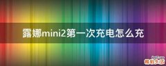 露娜mini2第一次充电怎么充