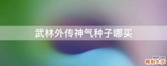 武林外传神气种子哪买
