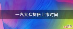 一汽大众探岳上市时间