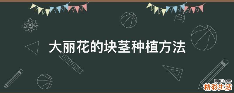 大丽花的块茎种植方法