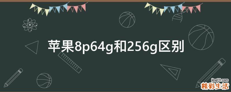 苹果8p64g和256g区别