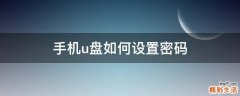 手机u盘如何设置密码
