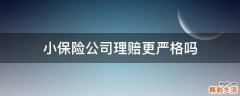 小保险公司理赔更严格吗